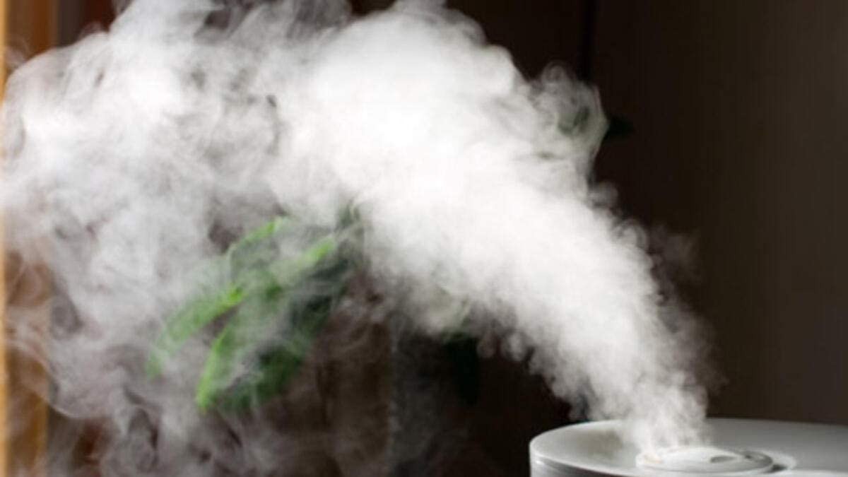 Vernebler mit LED grün