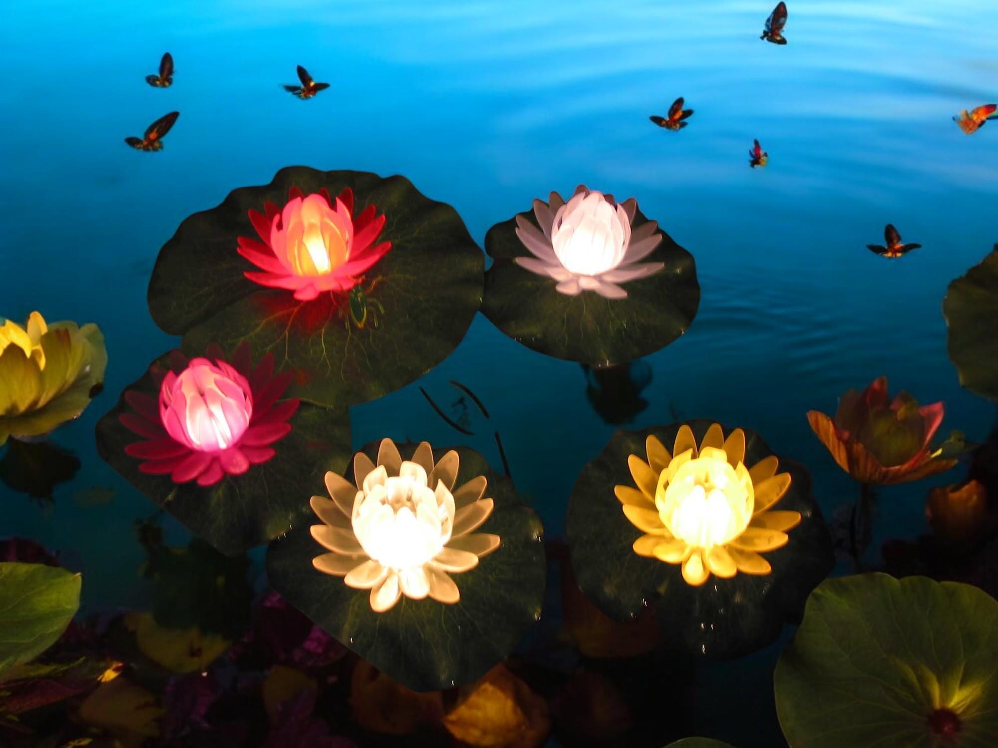 5 x Garten-Teich-Dekorations-Leuchte SEEROSEN beleuchtet schwimmende Blüten 