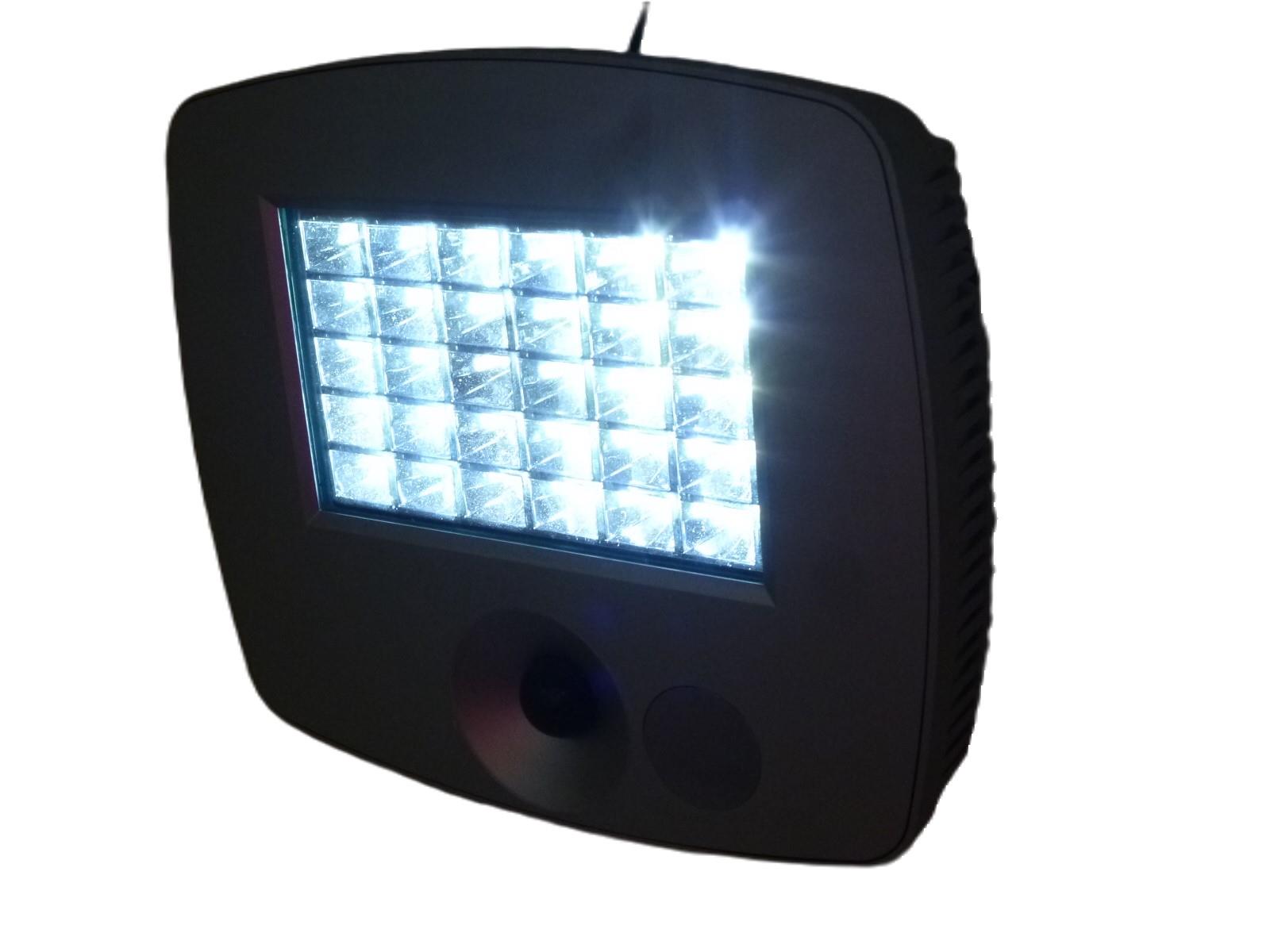 Solarwandleuchte Raven mit Sensor 30 LED Hausbeleuchtung