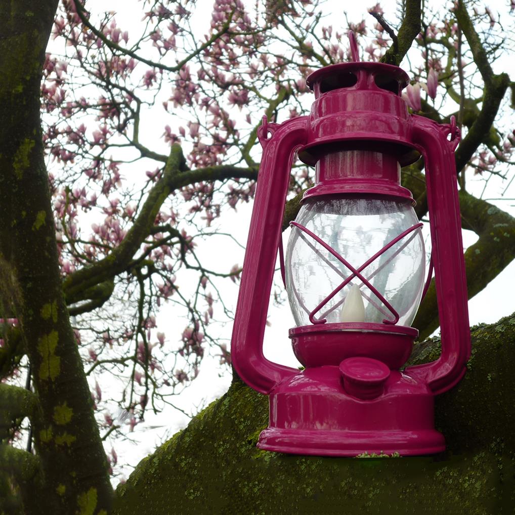 LED Solarlaterne Rola 